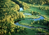 Rzeka Rospuda